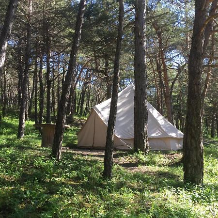 Camping La Chabannerie Ξενοδοχείο Saint-Martin-de-Clelles Εξωτερικό φωτογραφία