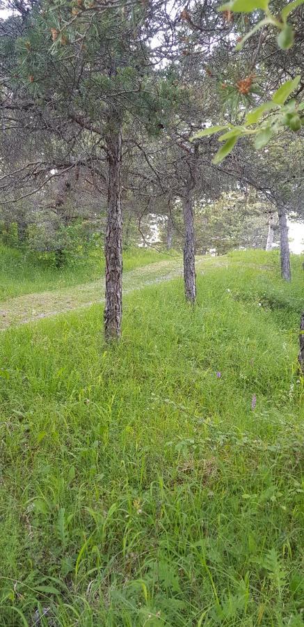 Camping La Chabannerie Ξενοδοχείο Saint-Martin-de-Clelles Εξωτερικό φωτογραφία