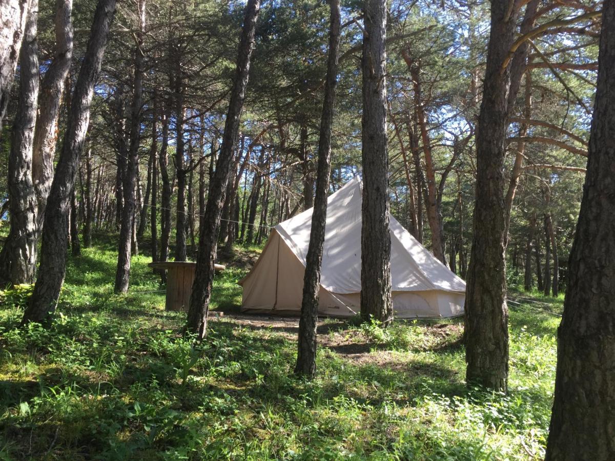 Camping La Chabannerie Ξενοδοχείο Saint-Martin-de-Clelles Εξωτερικό φωτογραφία